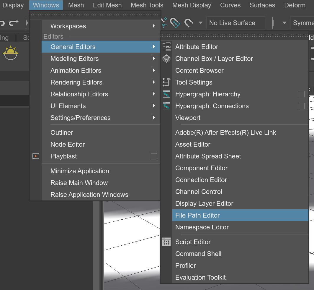 Running Maya's file path editor