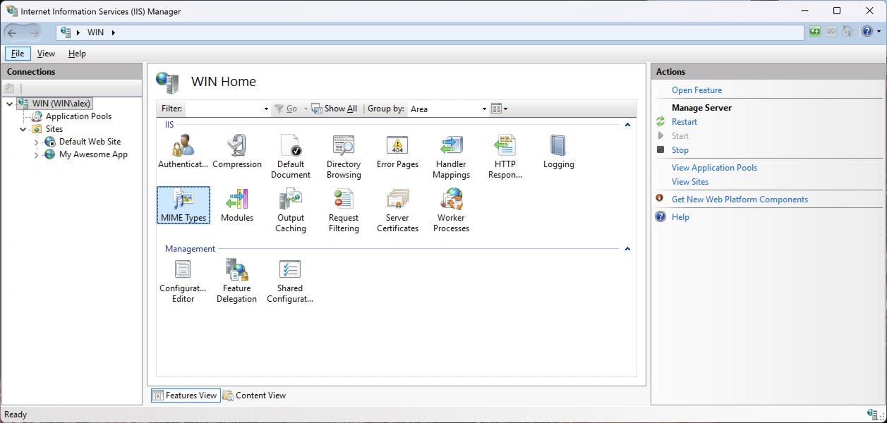 Icon to edit IIS mime types