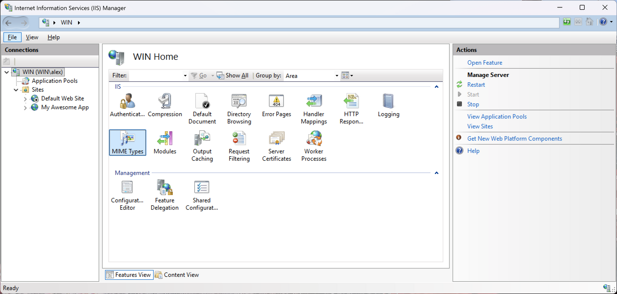 Icon to edit IIS mime types