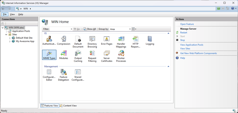File:Iis-mime-types-icon.webp