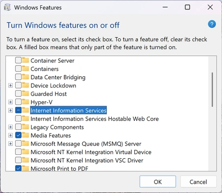 Enable IIS in Windows features